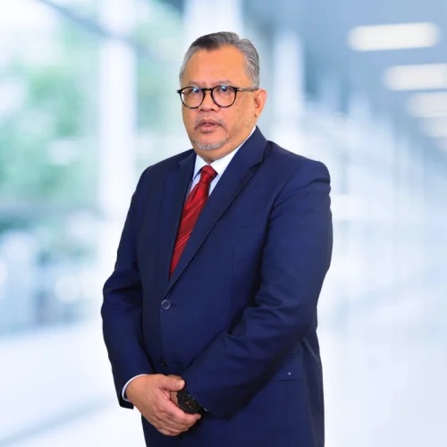 Mohamad Salmi bin Sohod